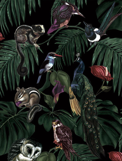 witch and watchman Amazonia Dark tropical animal Wallpaper closeup